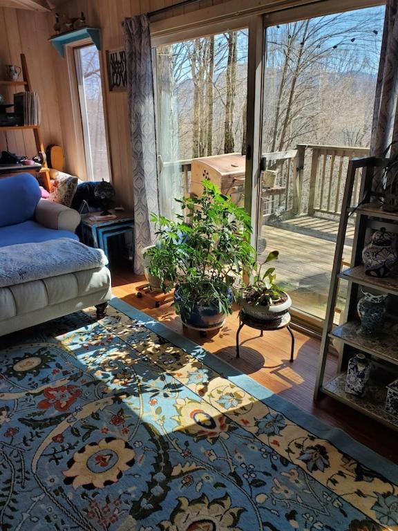 Treehouse Cathedral In Blue Ridge Mountains, Nc Burnsville Exterior foto